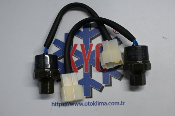 KYOKS6929 UNİVERSAL 2 KABLOLU DİŞİ