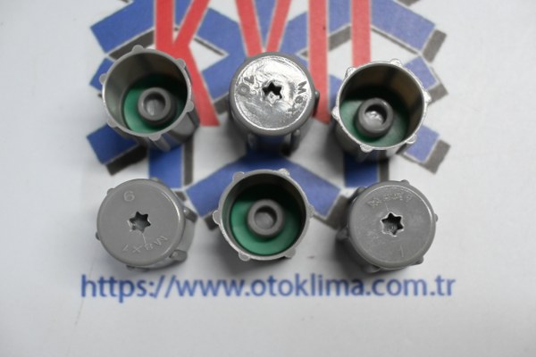 KYOSB8928 RENAULT - PEUGEOT - VOLKSWAGEN 1234YF EMİŞ SİBOB KAPAĞİ (6 Lİ PAKET )